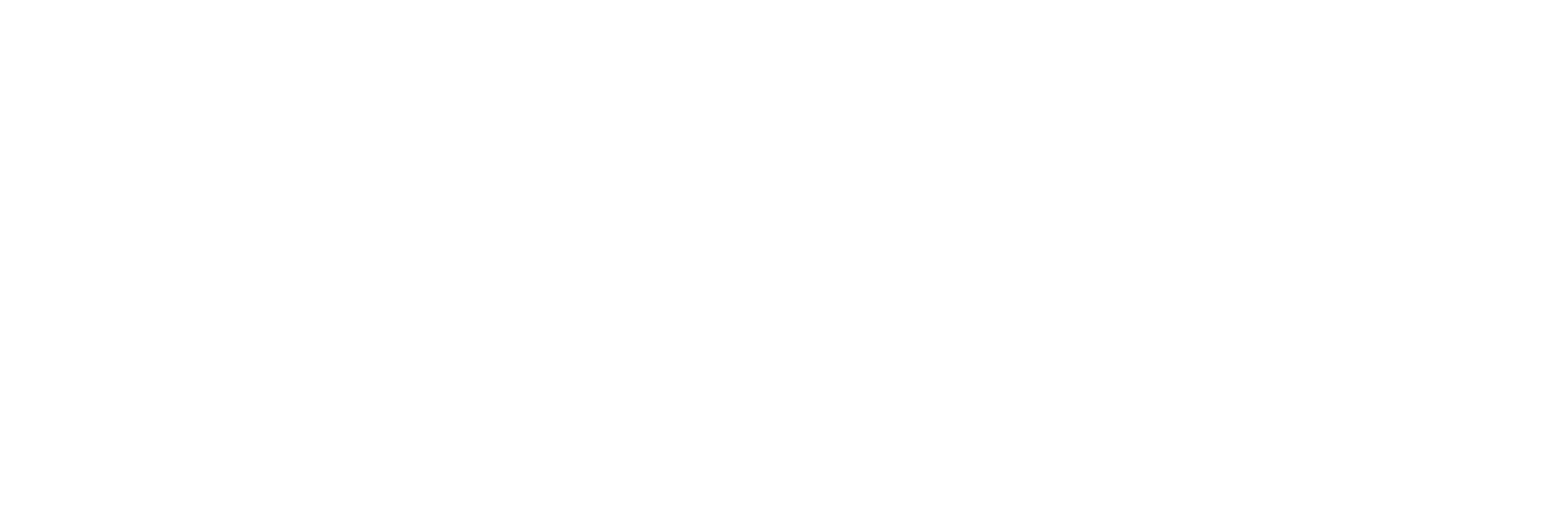 Logo Mainz Rentenberater